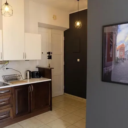 Daire Perfect Place To In Center Krakow